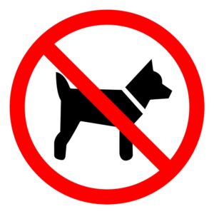 No Dogs Symbol Sign, vector illustration of a no dogs allowed label on a white background.